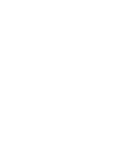 鮨 大矢